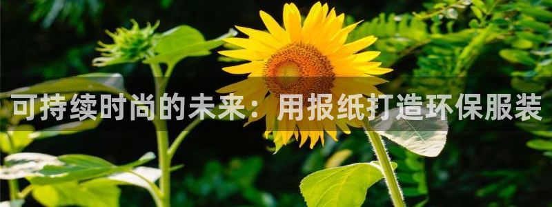 jdb电子夺宝奖池规则
