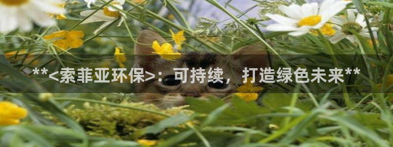 jdb电子平台ly7 9。cn