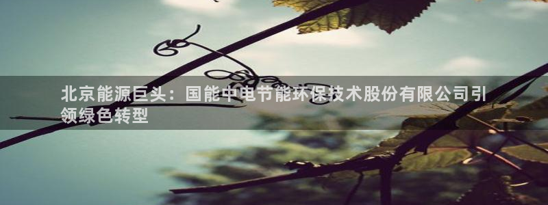 jdb游戏是什么意思