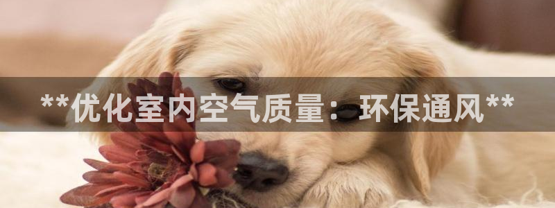 jdb试玩官网