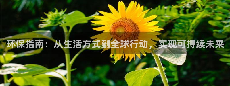 jdb168电子平台下载