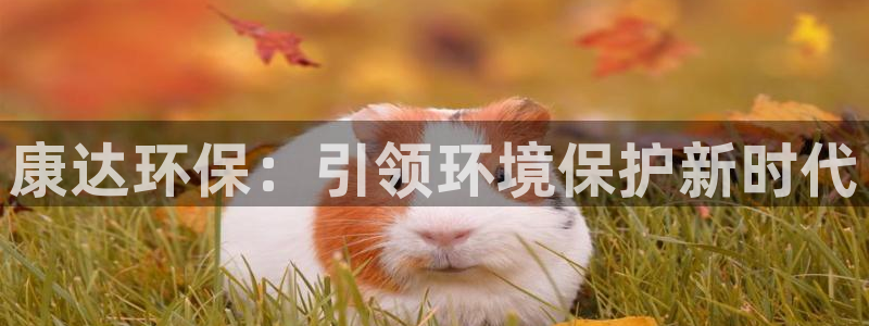 jdb电子试玩进入