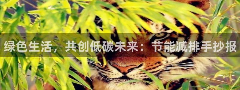 jdb富豪哥技巧