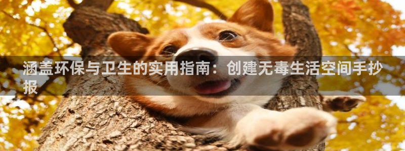 jdb中奖视频