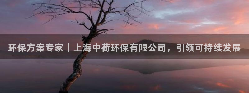 jdb电子试玩官网是什么