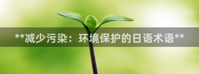 JDB电子JP彩金