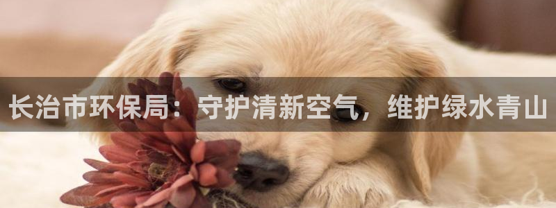 jdb哪个容易进免费游戏