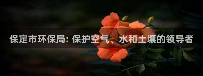 jdb游戏公司