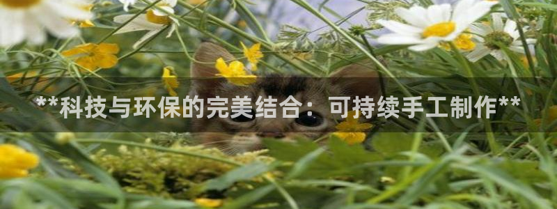 jdb电子飞鸟派对豪华版