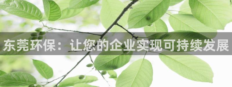 jdb电子怎么样