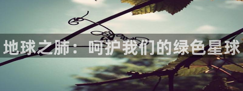 jdb试玩官网
