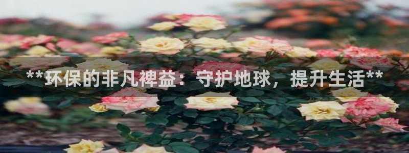 jdb电子游戏辅助软件