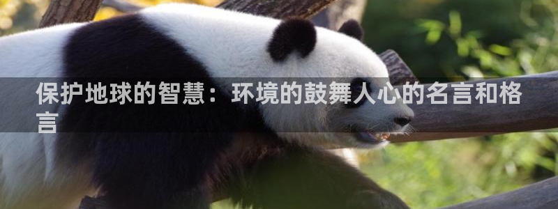 jdb电子试玩平台